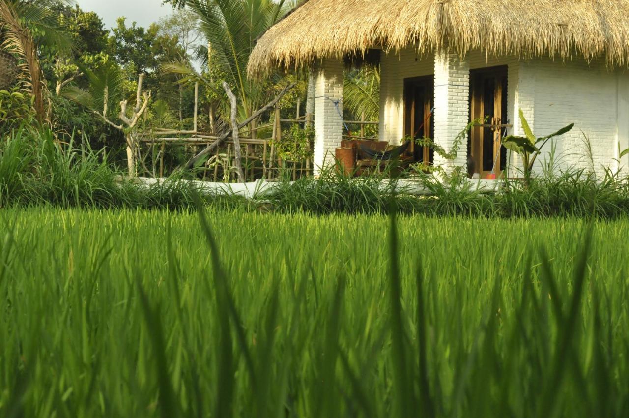 Mu Homestay Tetebatu Exteriör bild