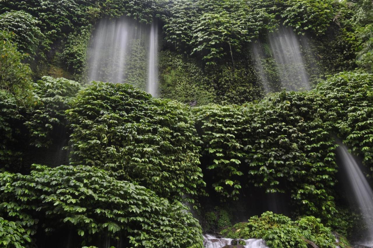 Mu Homestay Tetebatu Exteriör bild