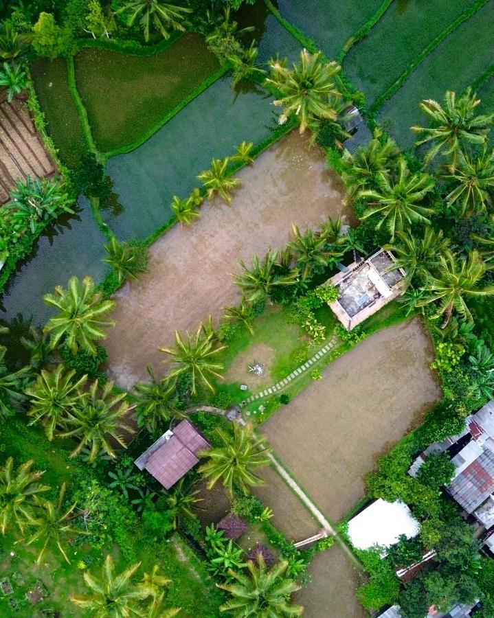 Mu Homestay Tetebatu Exteriör bild