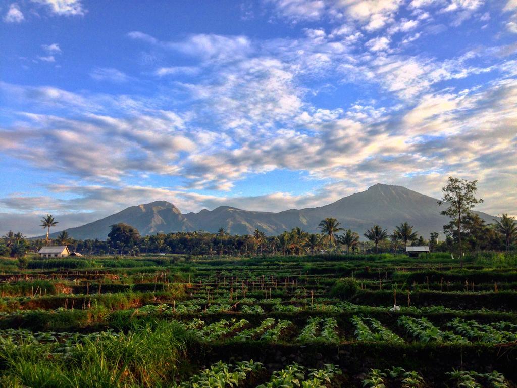 Mu Homestay Tetebatu Exteriör bild